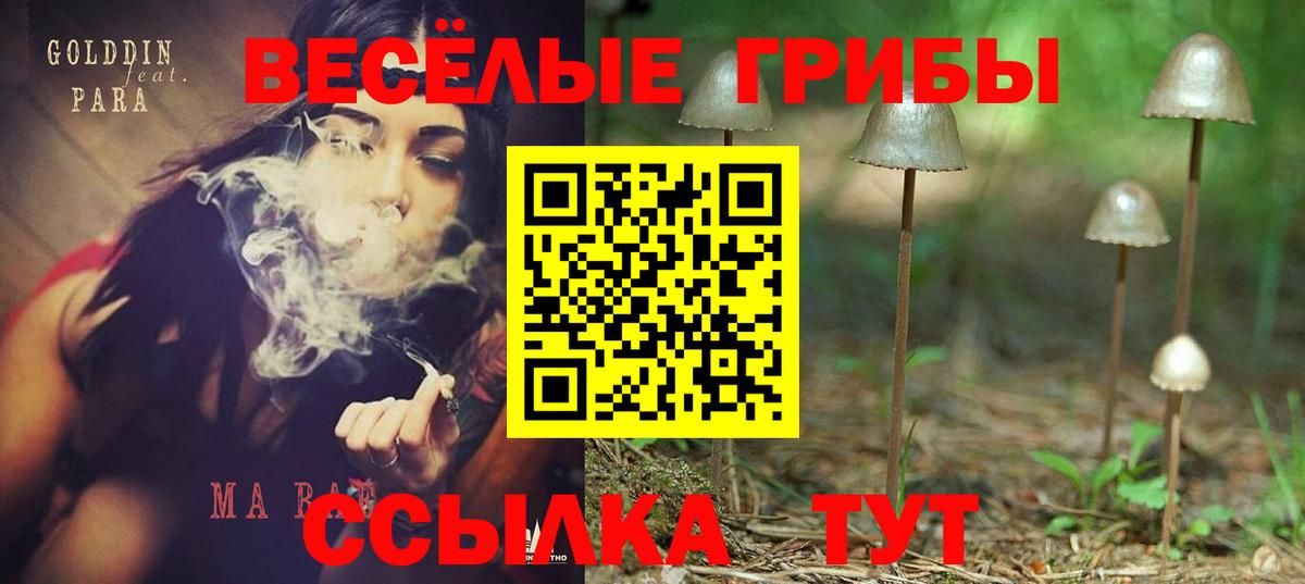 Янаул  Псилоцибиновые грибы MAGIC MUSHROOMS  Вход с VPN 