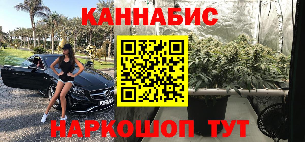 Канабис семена  Вход с VPN  Конопля конопля  Янаул  Бошки Шишки Amnesia  Конопля VHQ 